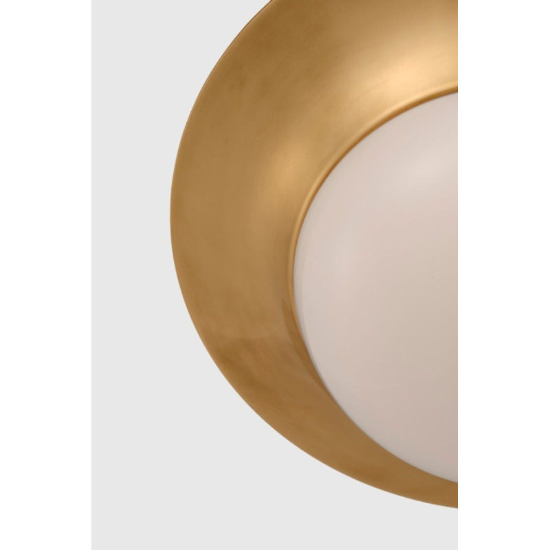 Antique Brass 24" LED Flush Mount Ceiling Light with Glass Shade