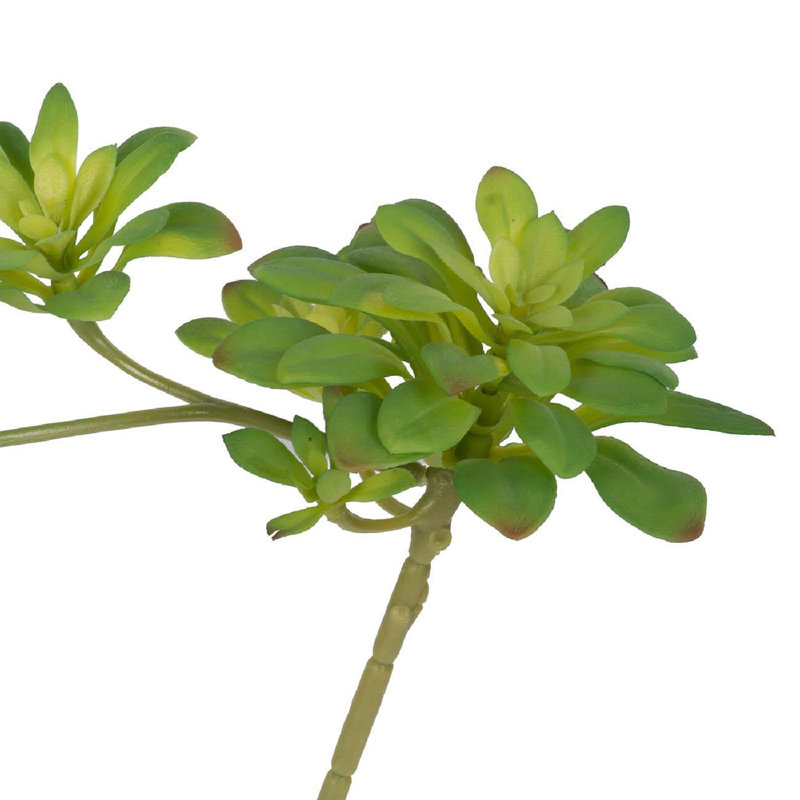 Set of 6 Green Faux Double Dudleya Succulents