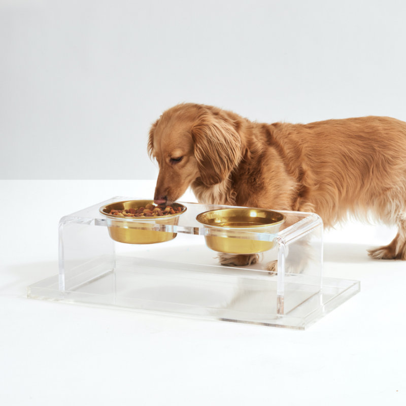Small Clear Acrylic Double Pet Feeder with Gold Bowls