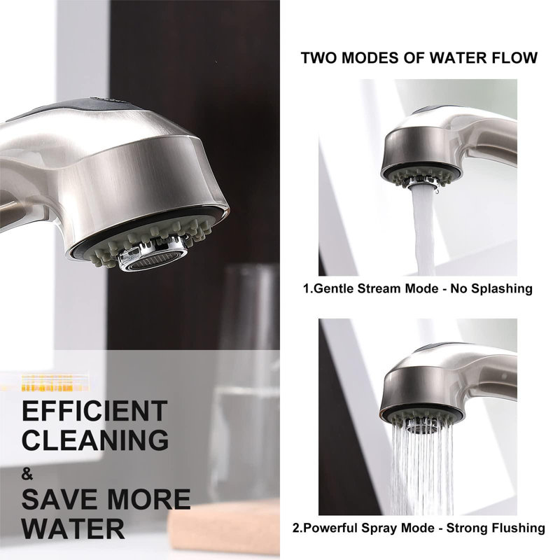 Brushed Nickel Single Handle Kitchen Faucet with Pull-Out Spray