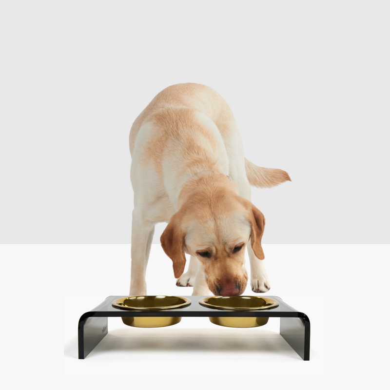 Small Smoke Grey Elevated Pet Feeder with Gold Bowls