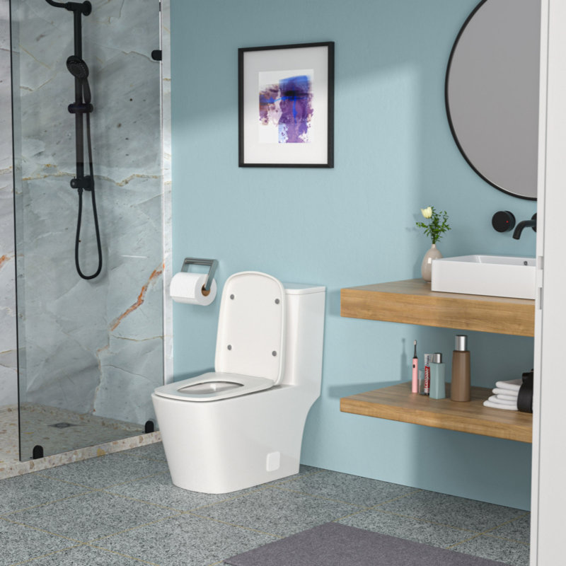 White Ceramic One-Piece Elongated High Efficiency Toilet