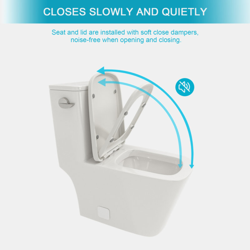 White Ceramic One-Piece Elongated High Efficiency Toilet