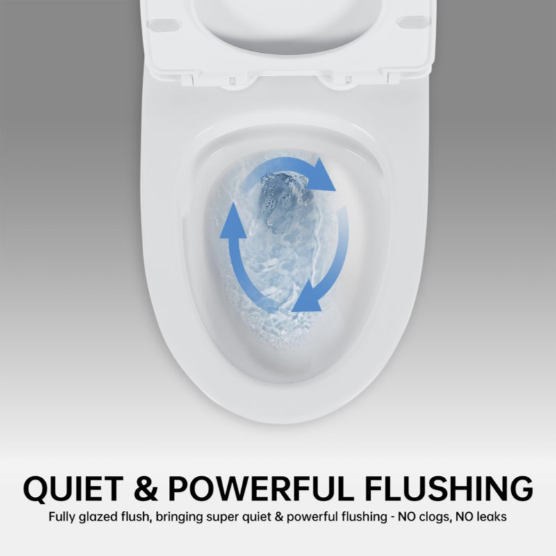 Glossy White Ceramic Elongated Dual Flush One-Piece Toilet