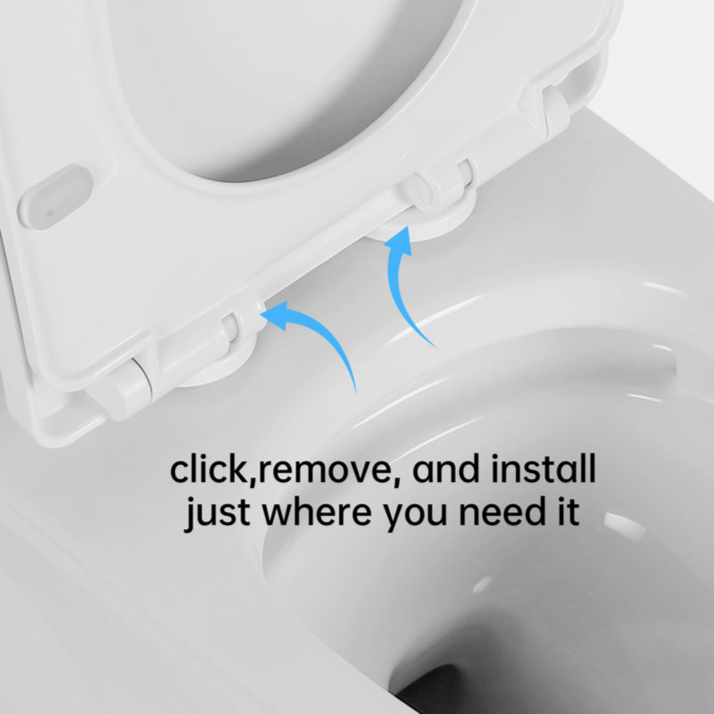 Glossy White Ceramic Elongated Dual Flush One-Piece Toilet