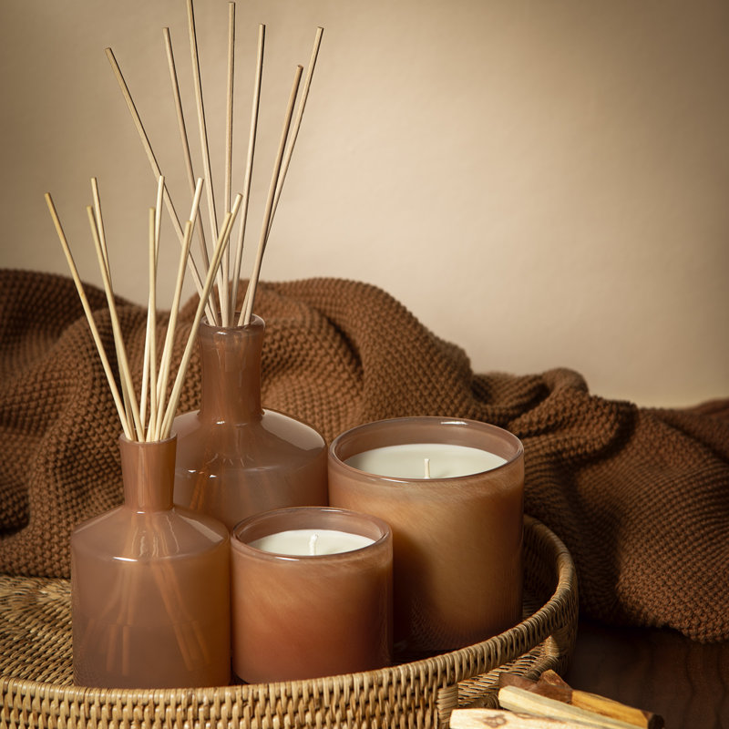 Sanctuary Matcha & Sage Reed Diffuser Refill - 8.4 oz