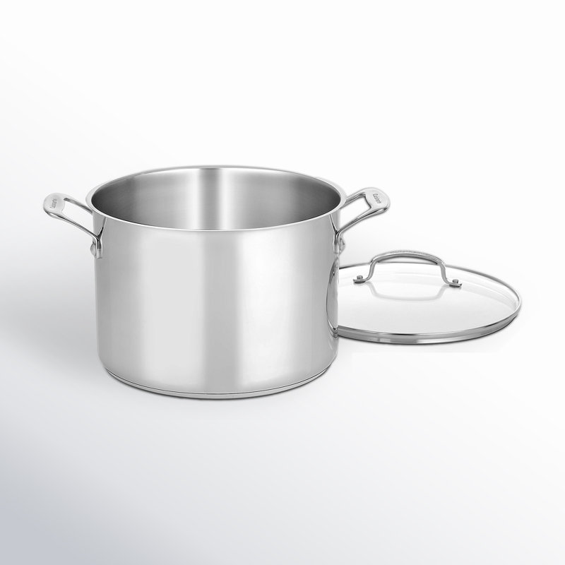 10-Quart Stainless Steel Stockpot with Glass Lid