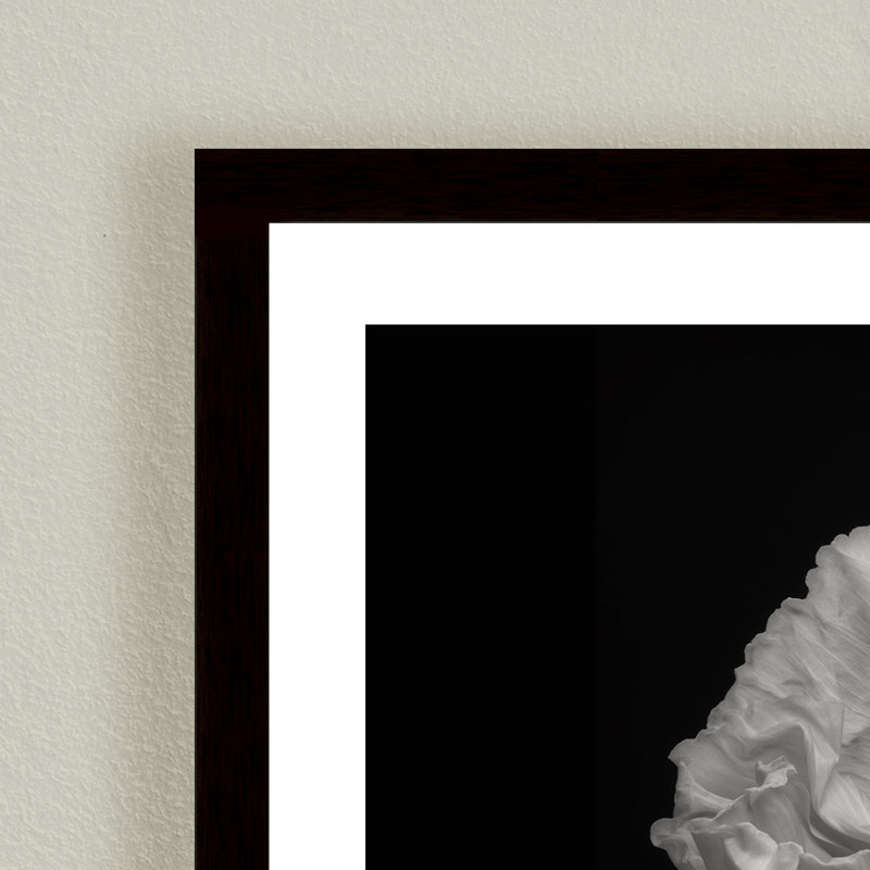 Monochromatic Poppy Flower Framed Print, 24" x 24"