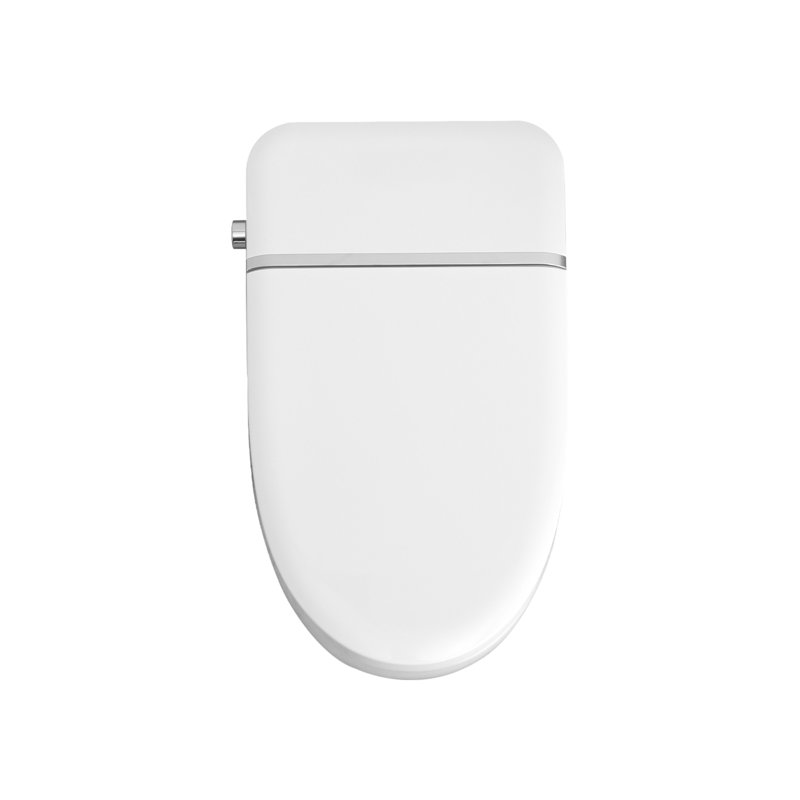 White Ceramic Smart Toilet Bidet Combo with Heated Seat and Remote Control