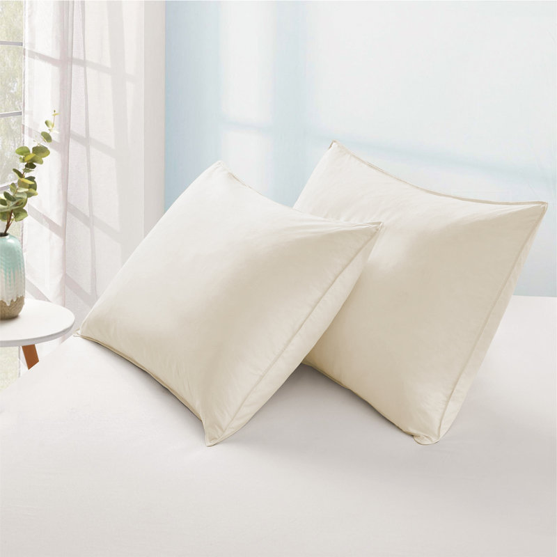 Off White Queen Feather and Down Blend Pillow Set
