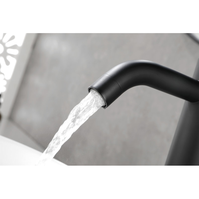 Matte Black Stainless Steel Single Handle Bathroom Faucet