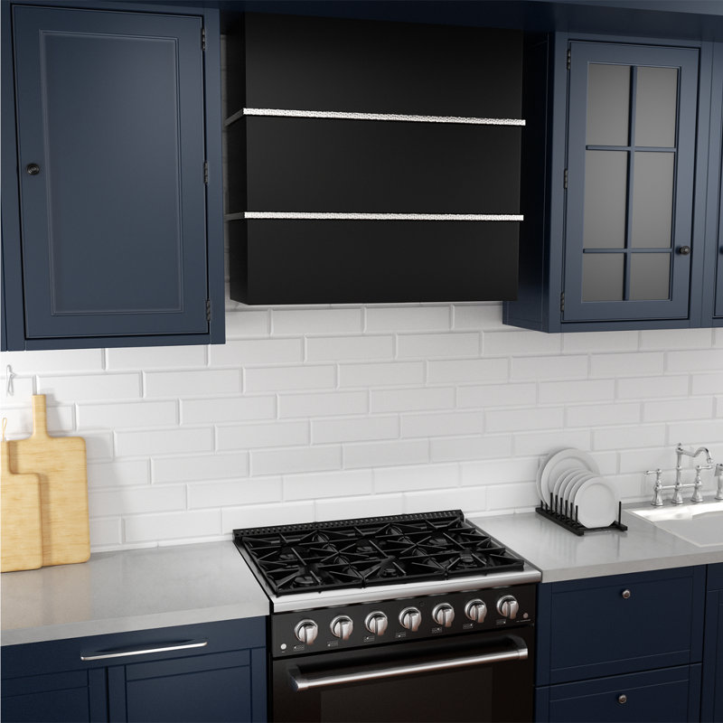 Akicon 30" Stainless Steel Wall Mount Range Hood with Charcoal Filter
