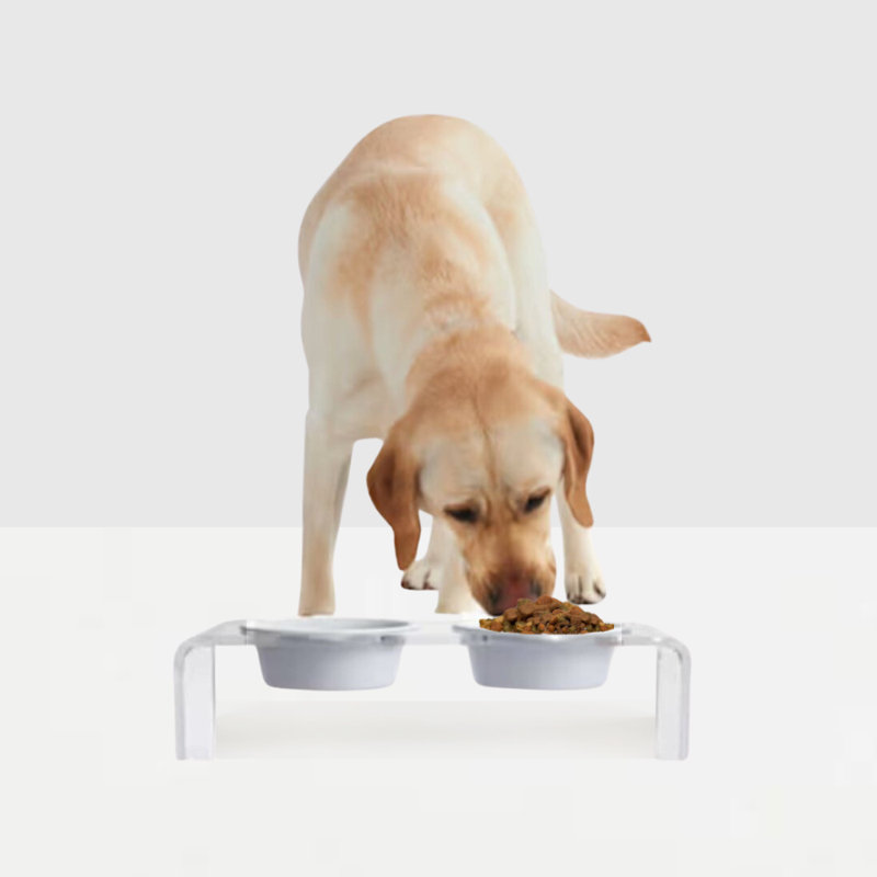 Small Clear Acrylic Elevated Feeder with Black Bowls