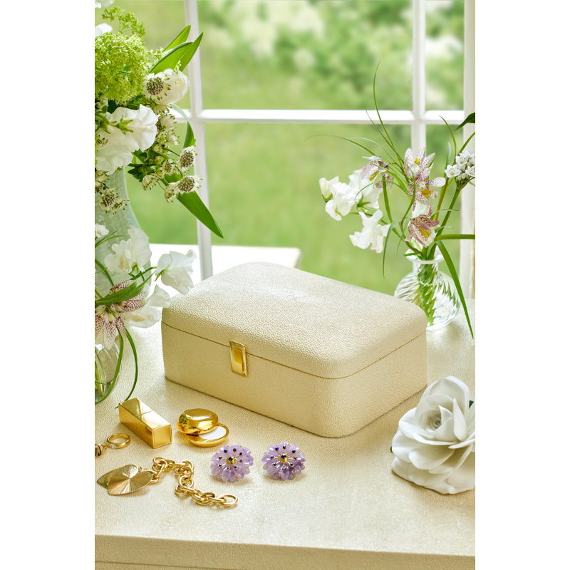 Cream Shagreen Large Jewelry Box with Brass Detailing