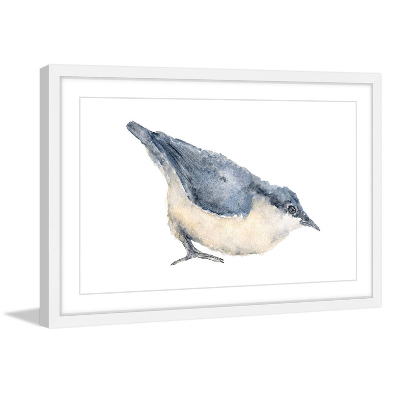 Nuthatch Bird Blue and Beige Canvas Print