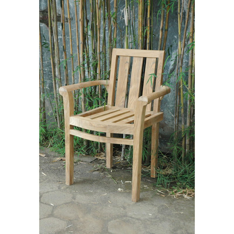 Natural Teak Outdoor Dining Armchair with Cushions