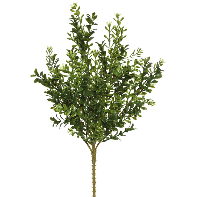 Elegant 19" Boxwood Tabletop Greenery Arrangement in Polyester