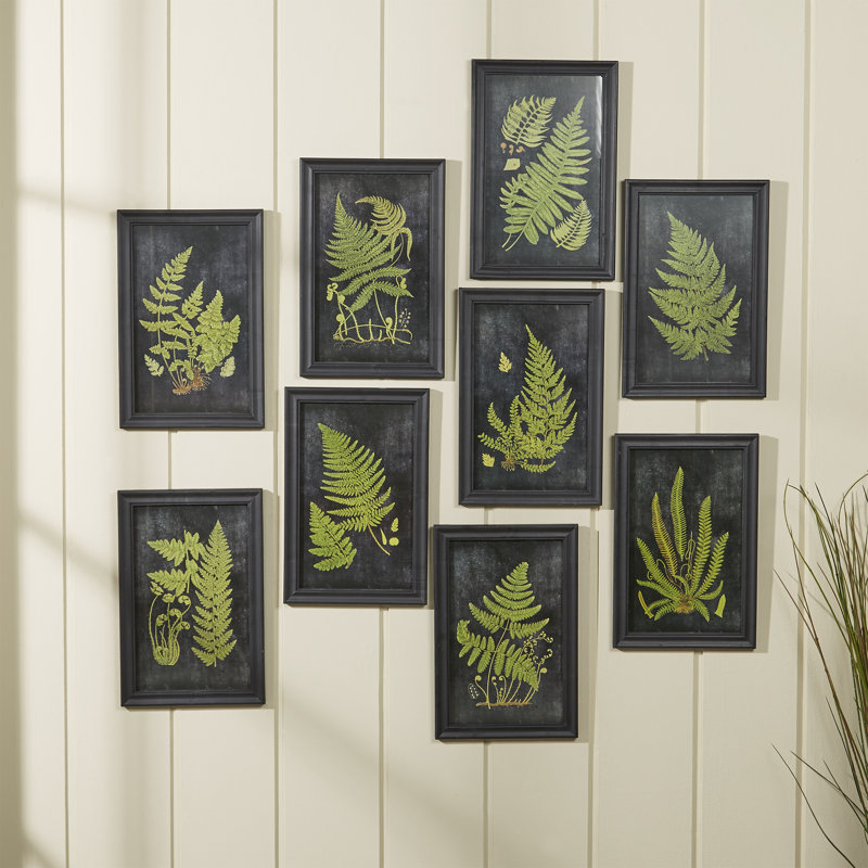 Black Solid Wood Gallery Wall Frame Set with Fern Graphic Art Prints