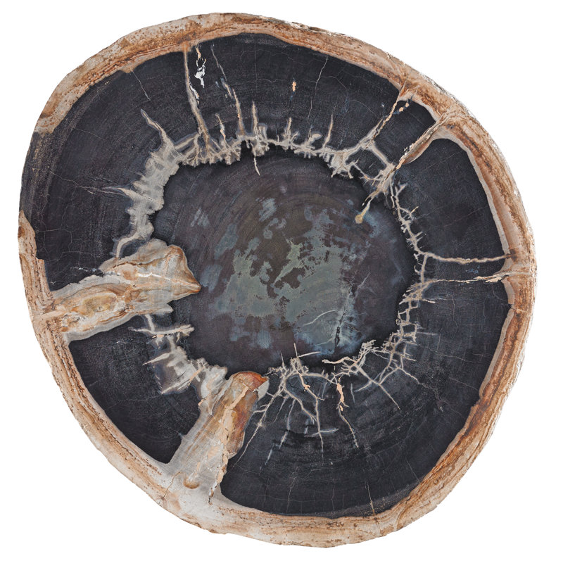 22" Round Beige Petrified Wood and Silver Metal End Table