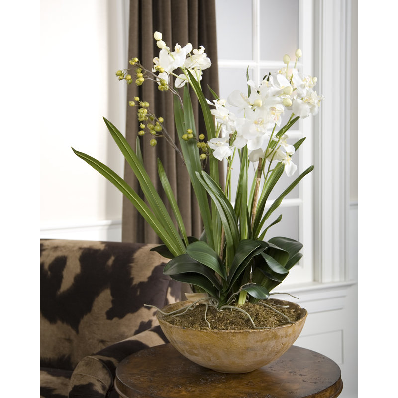 Contemporary Brown and White Moth Orchid 33.5" Planter