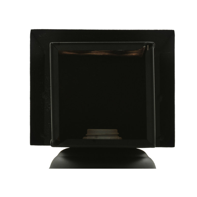 Black Steel Nature-Inspired Wall Sconce with Spruce Tree Design