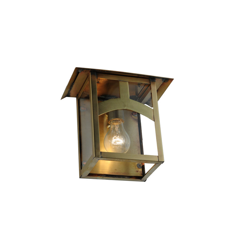 Brass 1-Light Dimmable Outdoor Wall Sconce