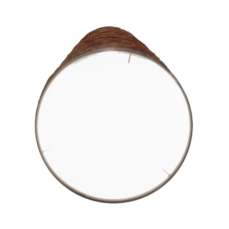 Cilindro Arrow Root 44" Bronze Brown Fabric Sconce