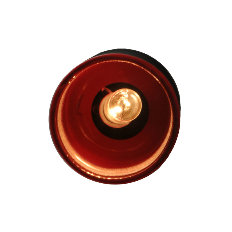 Black Glass Globe Mini Pendant Light - Energy Star Indoor/Outdoor