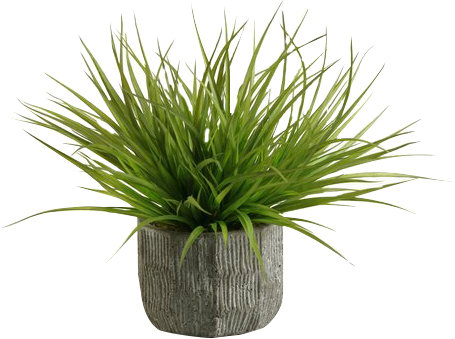 Lush Wild Grass Silk Arrangement in Textured Concrete Pot