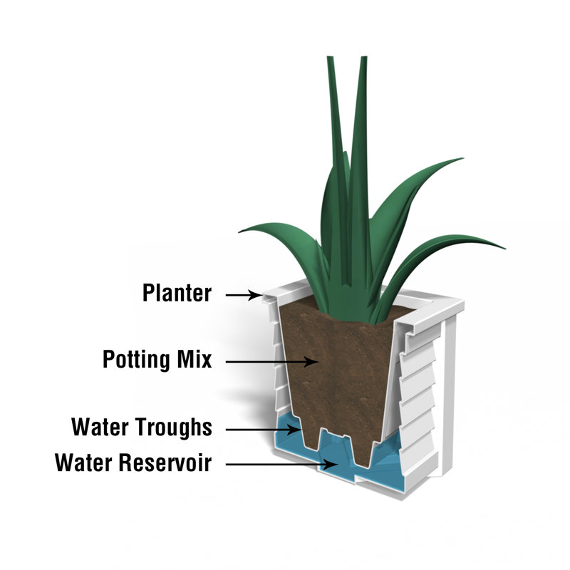 Espresso Square Resin Self-Watering Planter with Sub-Irrigation