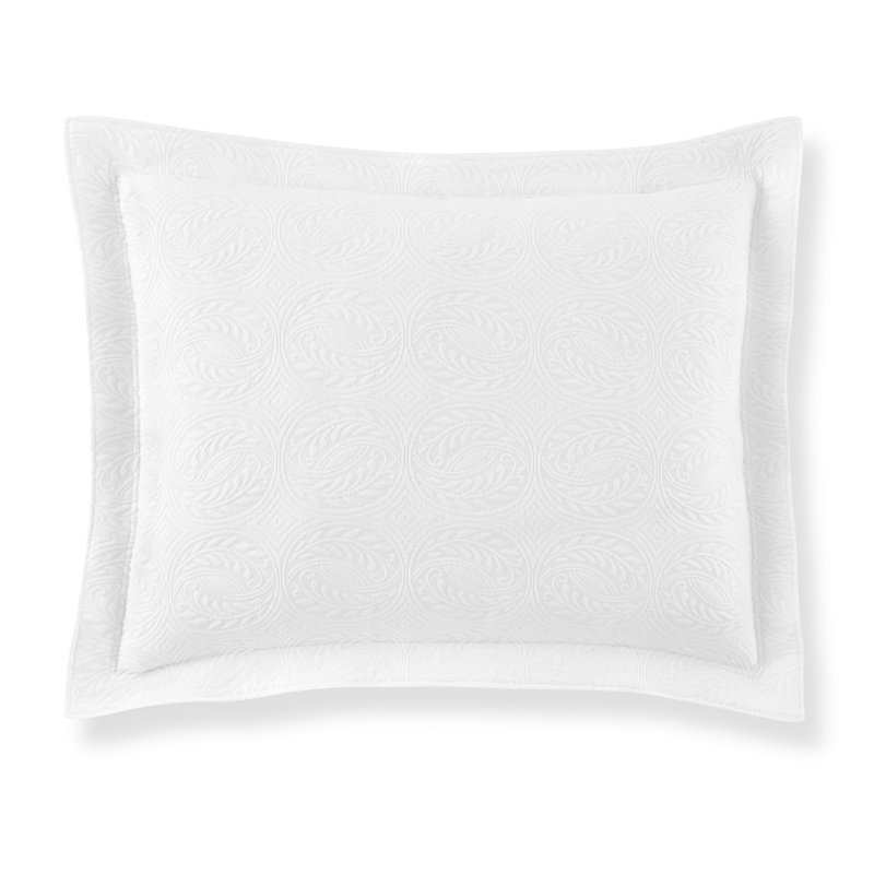 Elegant Vine Embroidered King Sham in Luxurious White Cotton