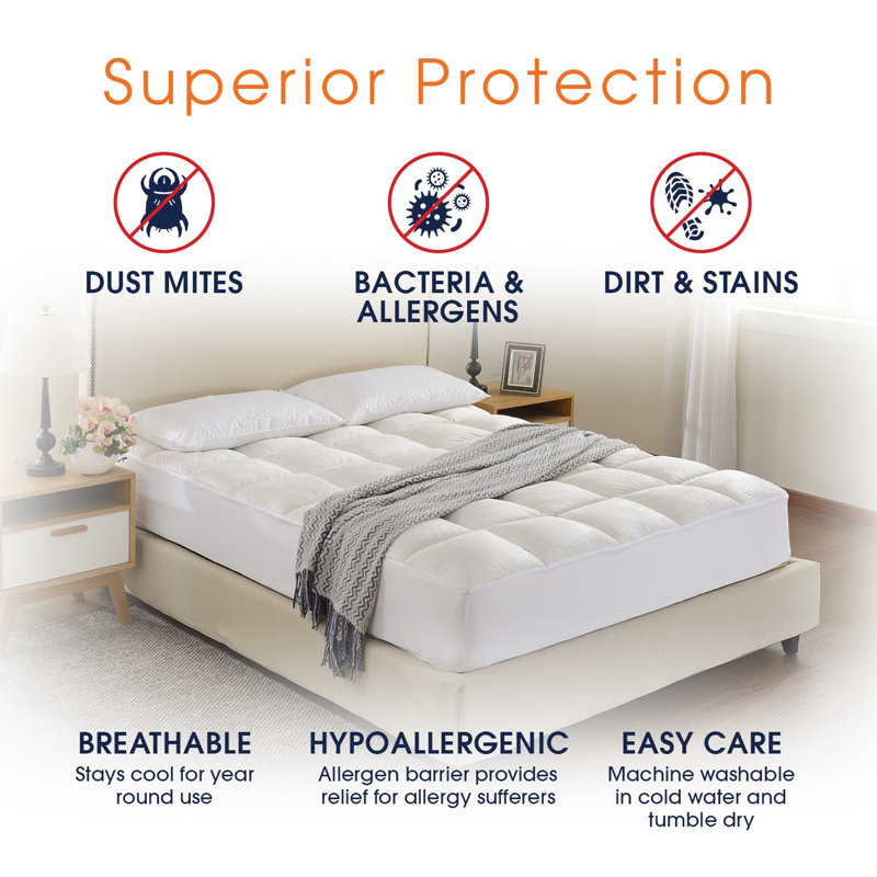 Delancey Queen 17'' Luxe Down Alternative Featherbed