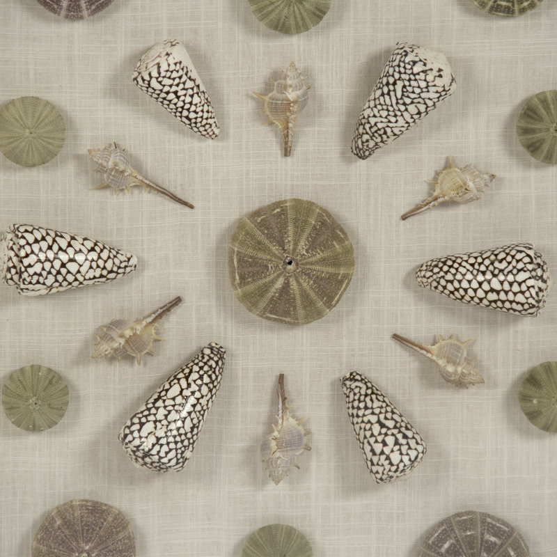 Silver Framed Abstract Shell Wall Art Decor
