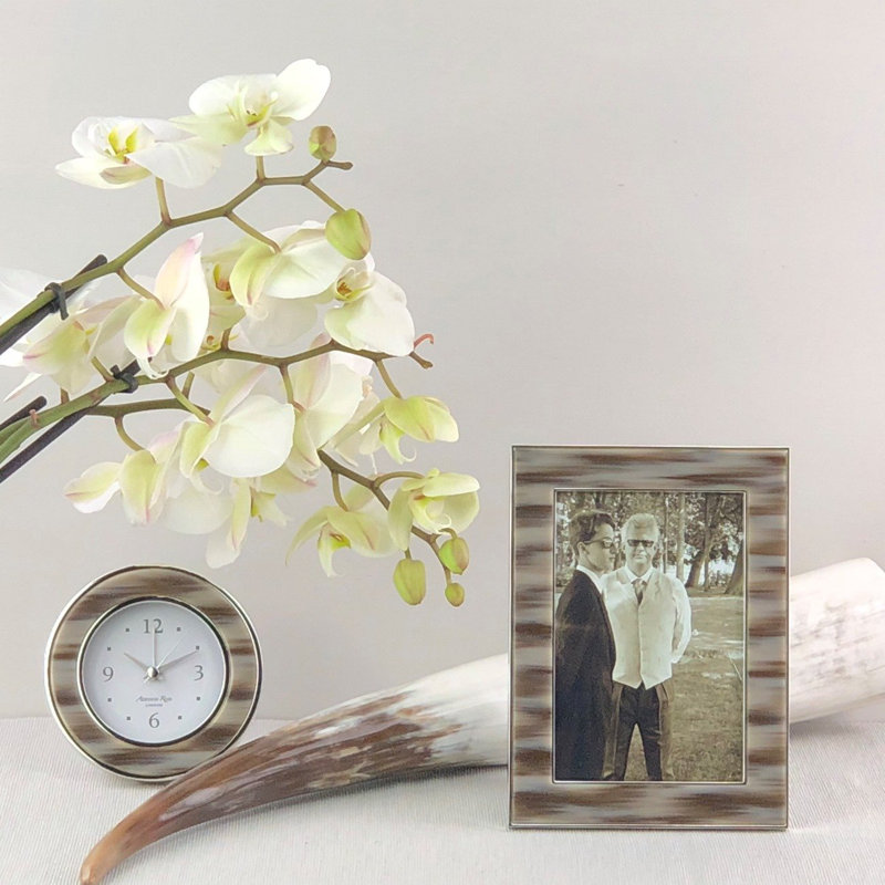 Silver Faux Horn 4x6 Tabletop Picture Frame