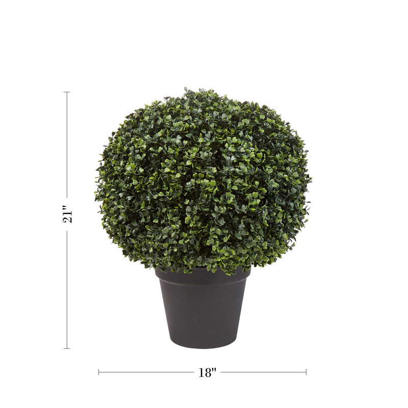 EverGreen Bliss 18'' Faux Boxwood Topiary in Outdoor-Ready Planter