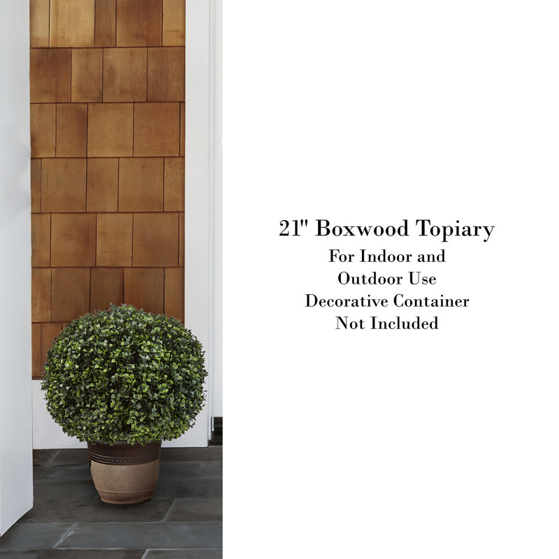 EverGreen Bliss 18'' Faux Boxwood Topiary in Outdoor-Ready Planter