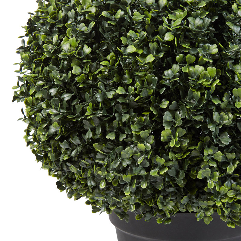EverGreen Bliss 18'' Faux Boxwood Topiary in Outdoor-Ready Planter
