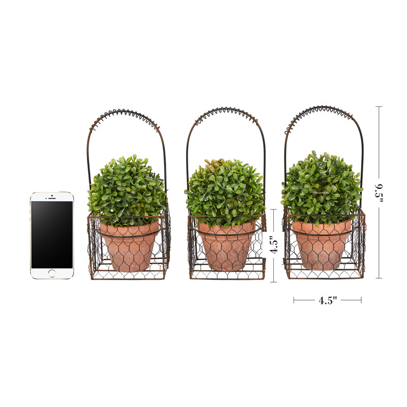 EverGreen Essence 9.5'' Faux Boxwood Floor Topiary in Terra Cotta Pot