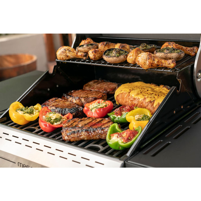 Megamaster 2-Burner Stainless Steel Propane Gas Grill with Foldable Side Tables