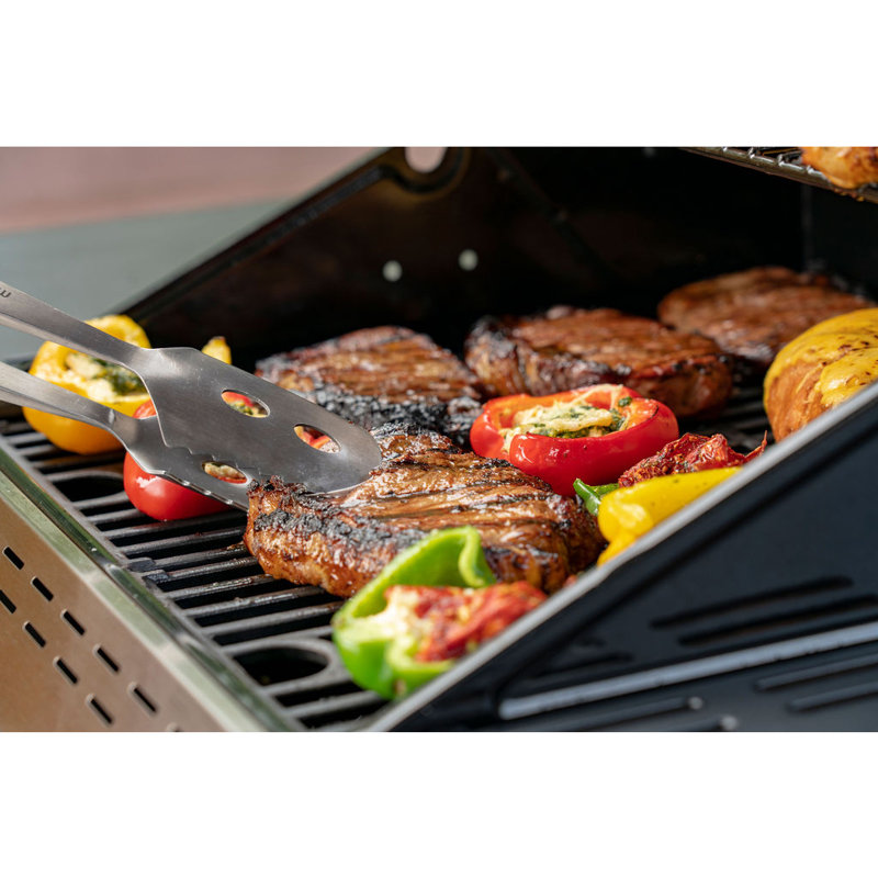 Megamaster 2-Burner Stainless Steel Propane Gas Grill with Foldable Side Tables