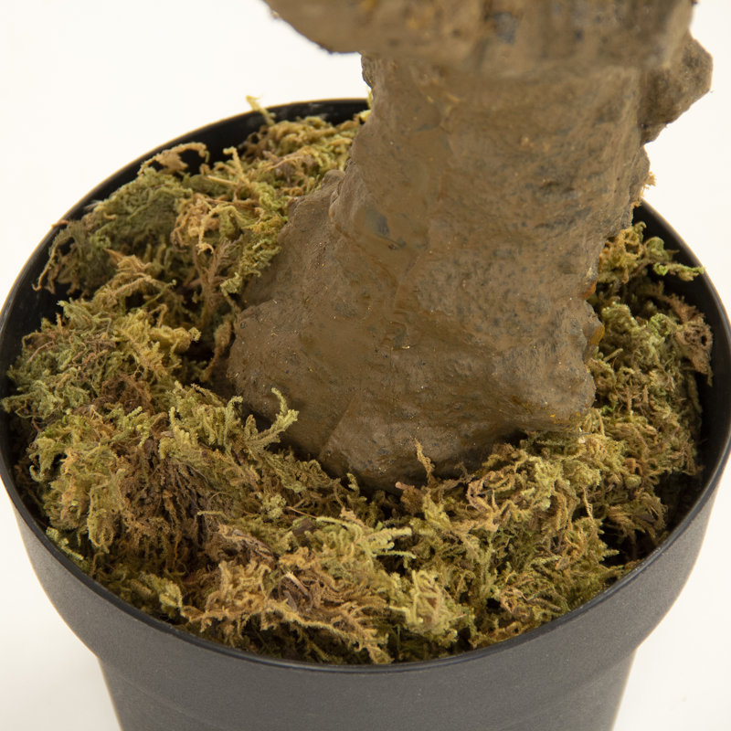 Tall Faux Maple Tree in Black Plastic Pot