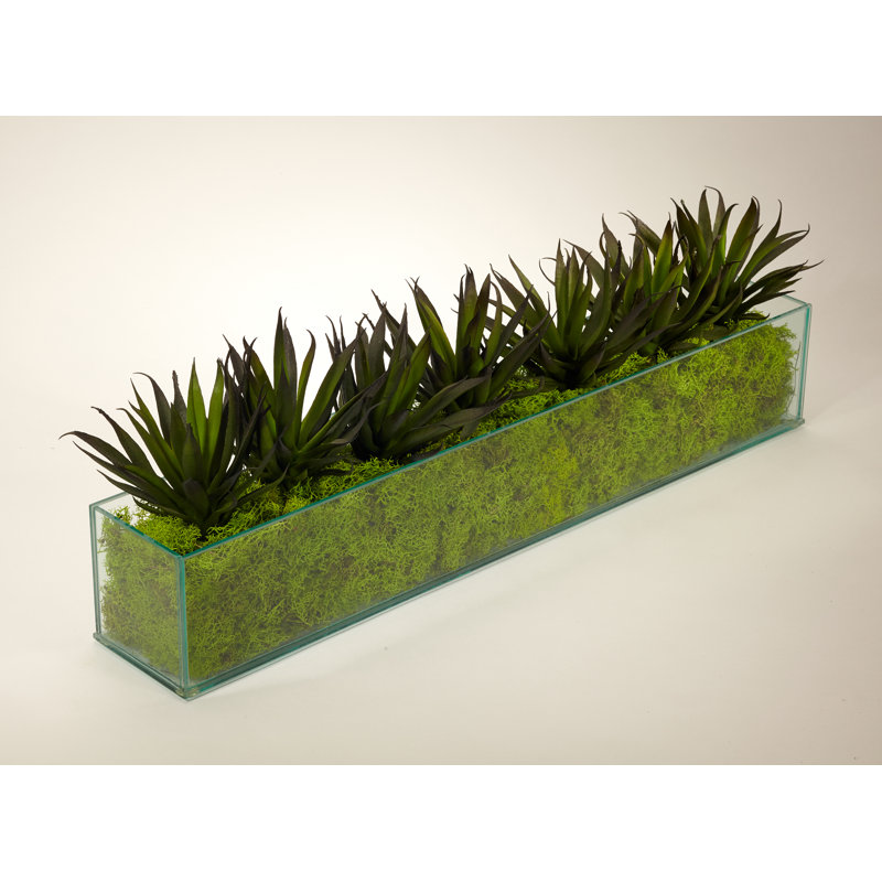 Long Clear Glass Planter with Green Artificial Agave Arrangement