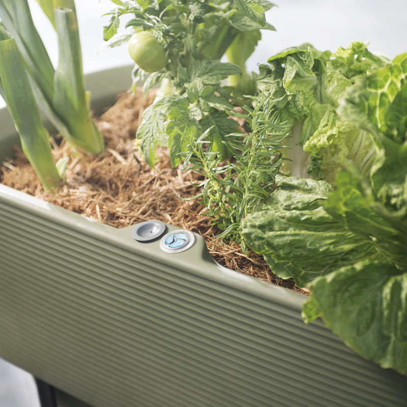 Olive Green High-Density Polyethylene Self-Watering Elevated Planter