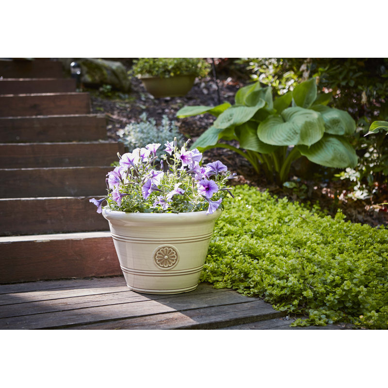 Ivory 17.25" Modesto Resin Planter with Floral Design
