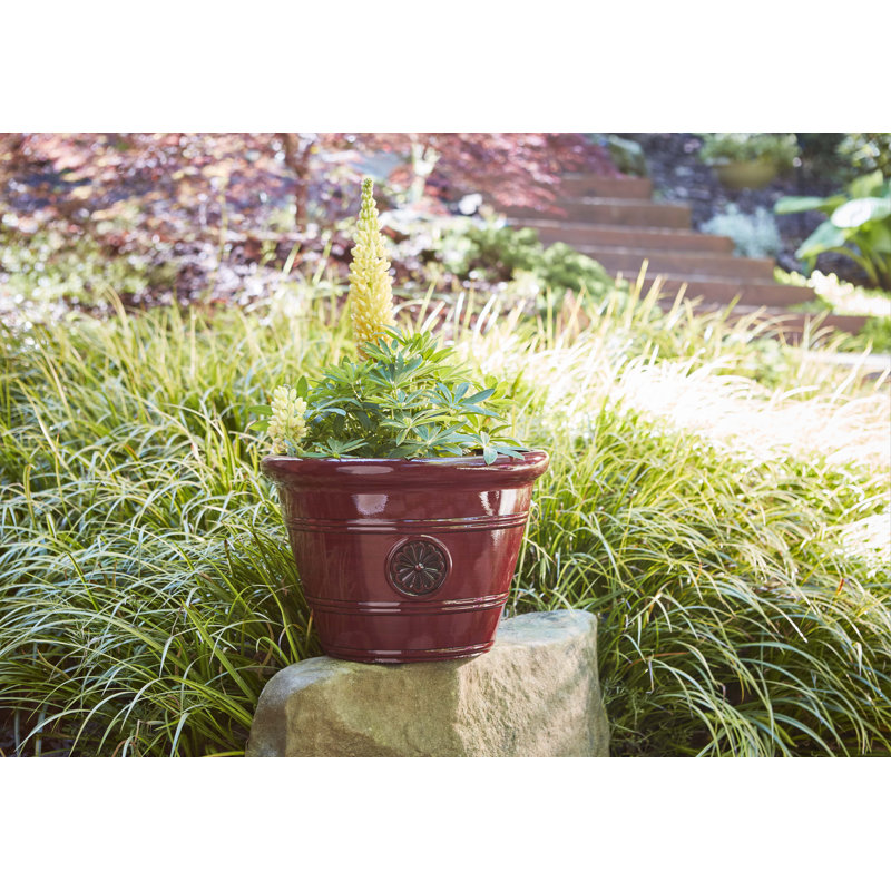 Oxblood Resin 15.25" Modesto Planter for Indoor & Outdoor