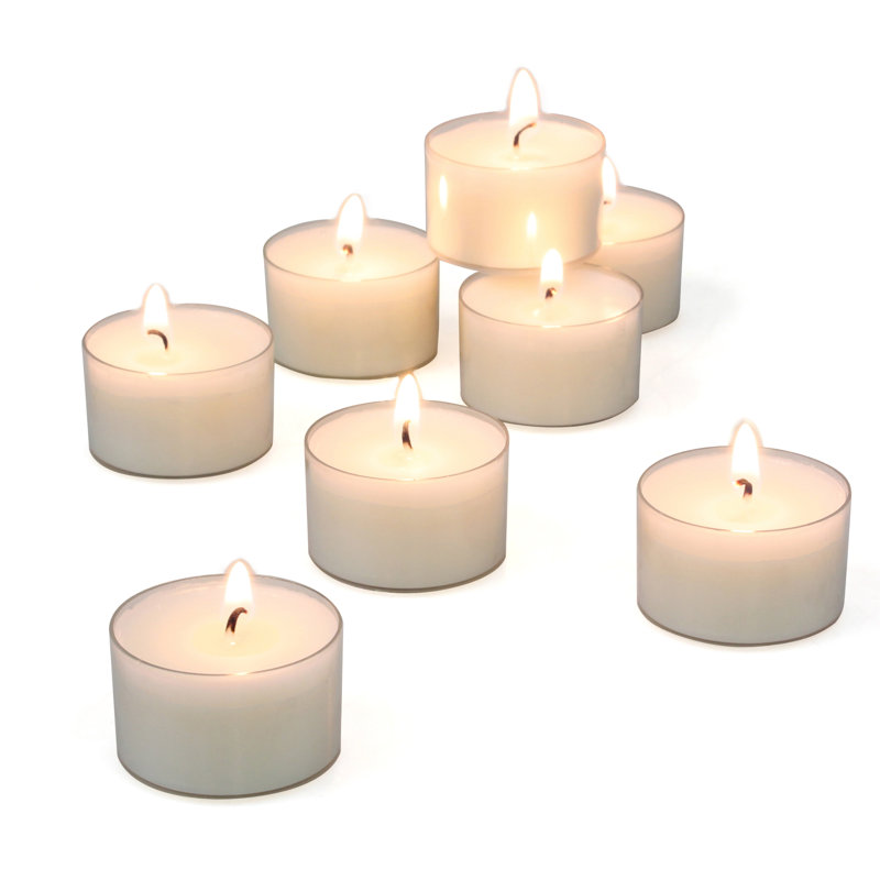 White Palm Wax Long Burning Tealight Candles, 48 Pack