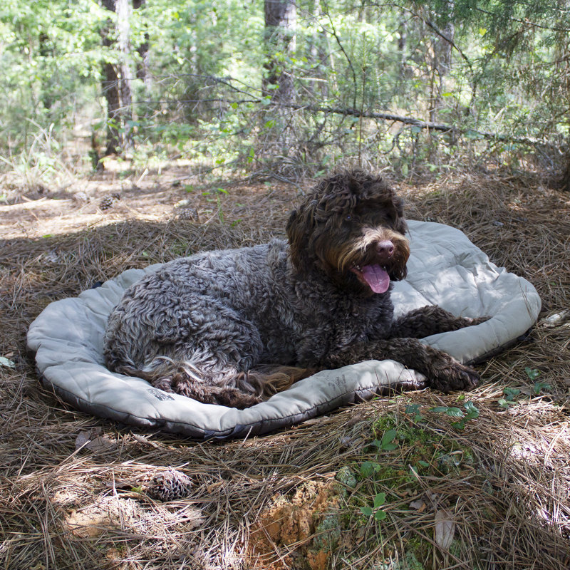 Beige Outdoor Polyester Pillow Pet Bed