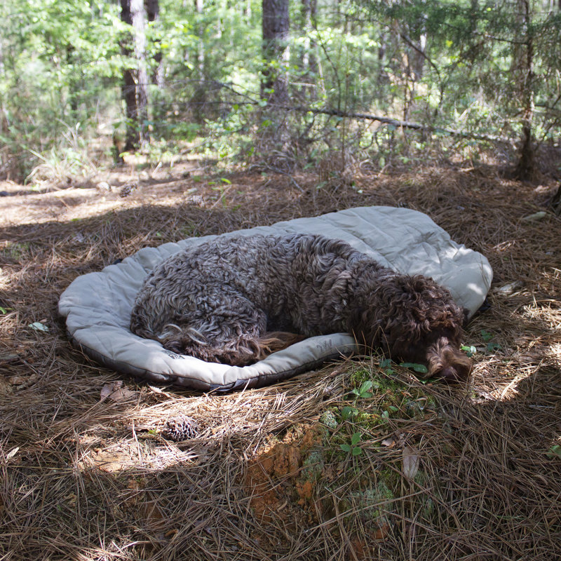 Beige Outdoor Polyester Pillow Pet Bed