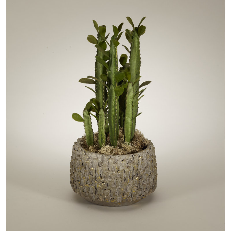 17'' Green Silk Cactus in Textured Clay Pot