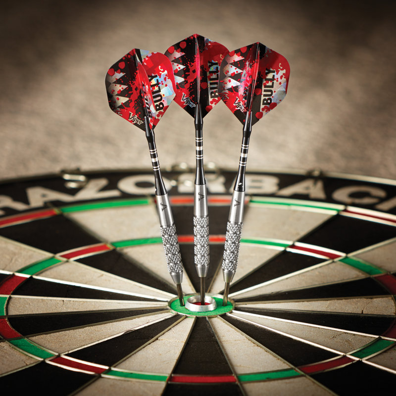 Viper Bully 24 Gram Silver Tungsten Steel Tip Darts Set
